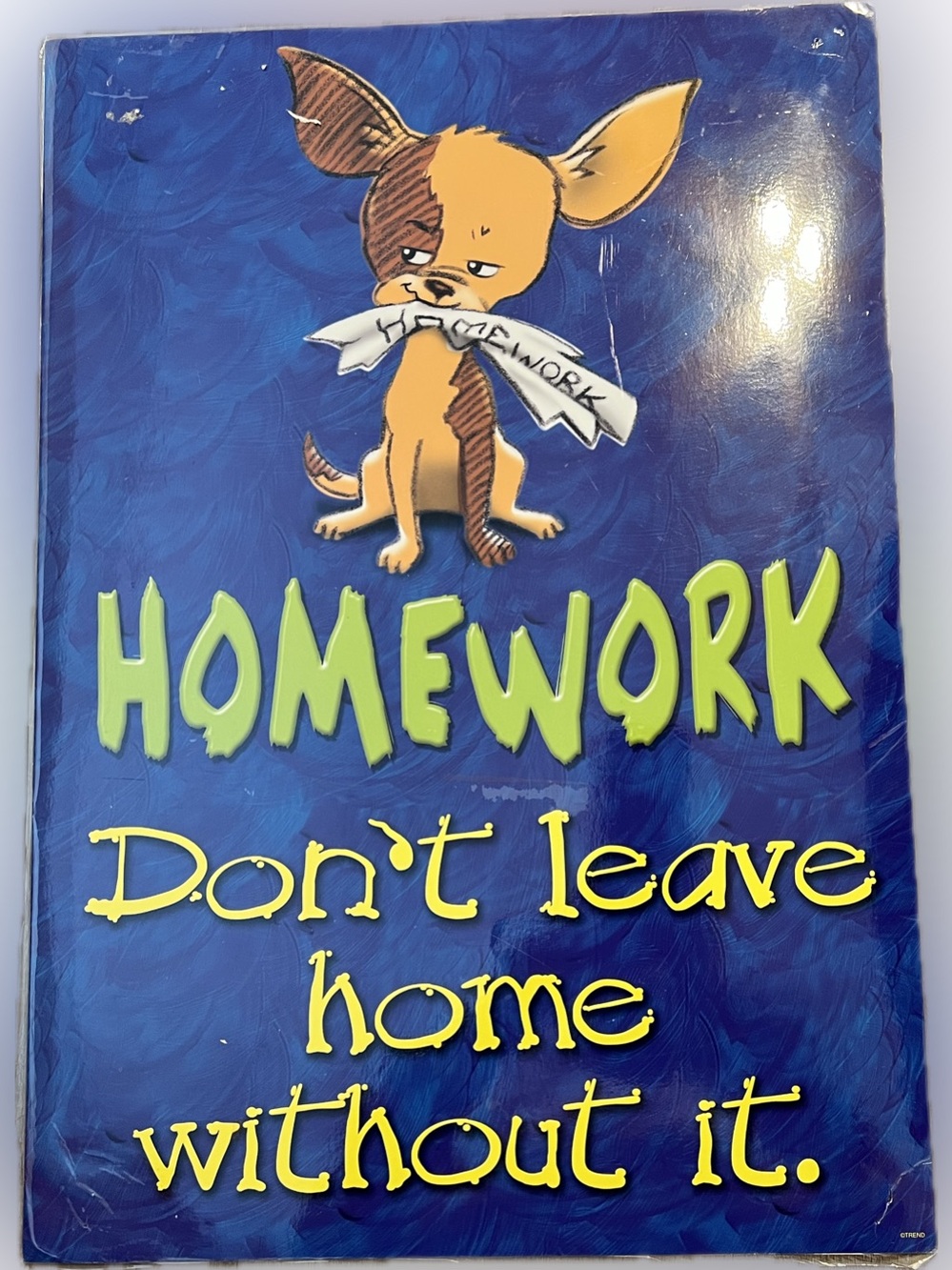 💥Argus Laminated Poster Homework Don’t leave Home Without It  Motivational Class